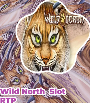 Wild north slot