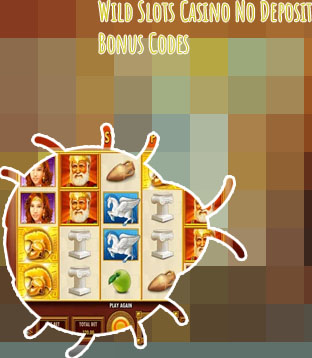 Wild slots no deposit bonus codes